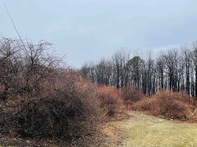 Lot 1 Purdue Mountain Road Bellefonte, PA 16823