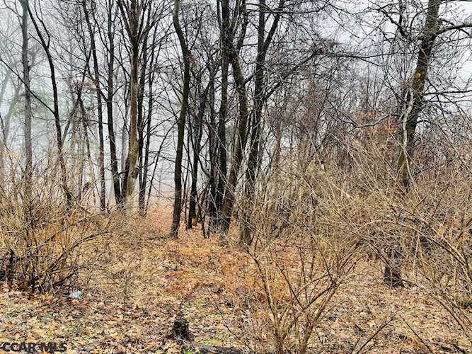 Lot 2 Purdue Mountain Road Bellefonte, PA 16823