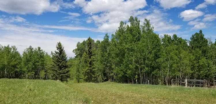 5.78 Acres Parkins Road Rural Foothills County, AB T0L 1K0