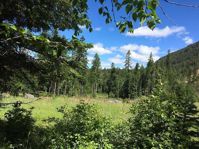 1261 Blackmer Ln Columbia Falls, MT 59912