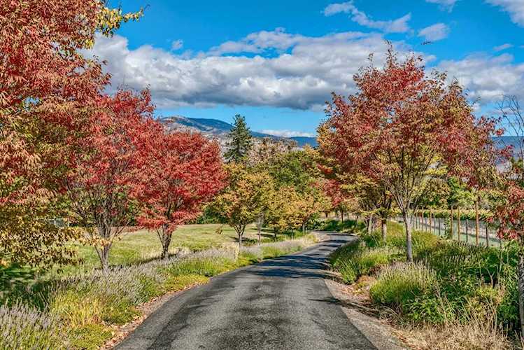 2782 Siskiyou Blvd Ashland, OR 97520