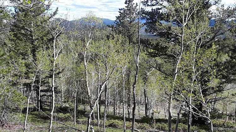 260 Missouri Gulch Black Hawk, CO 80403