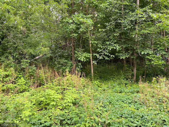 8950 Obrian Avenue NE Otsego, MN 55330 | MLS 5736792 Photo 1