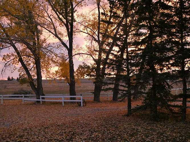 322031 15 St E Rural Foothills County, AB T2S 1B2