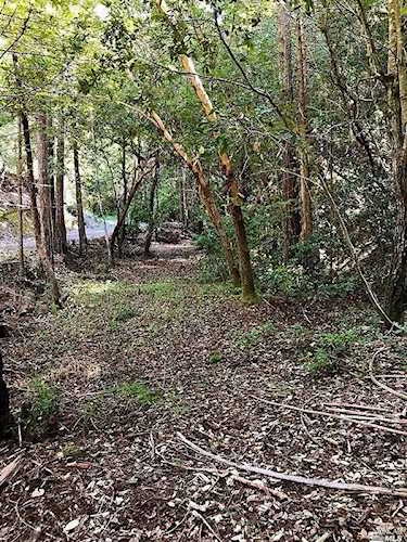 16167 Fern Way Guerneville, CA 95446
