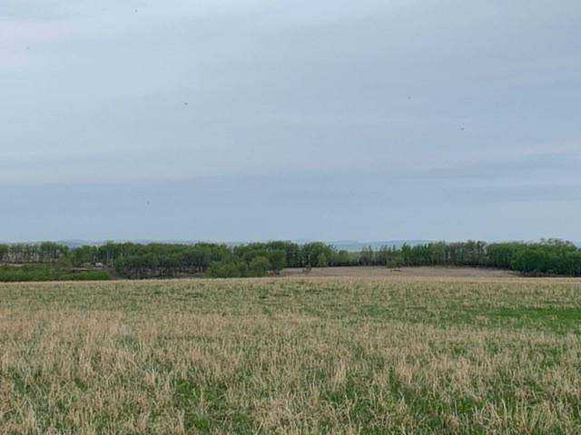 Township Road 574 Rural Rocky View County, AB T4C 1A1