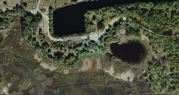 XXX Sea Breeze Dr Crawfordville, FL 32327
