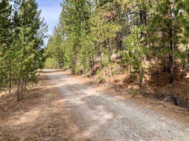 Nhn Lower Lost Prairie Rd Marion, MT 59925