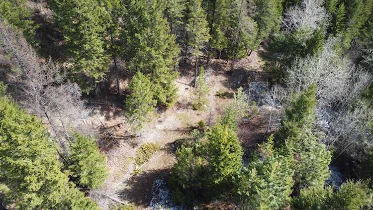 Nhn Patrick Creek Rd Kalispell, MT 59901