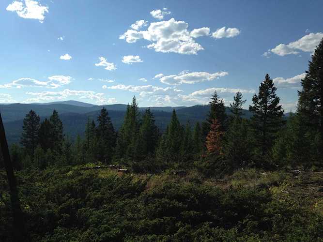 Nhn Jim Creek Rd Trego, MT 59934