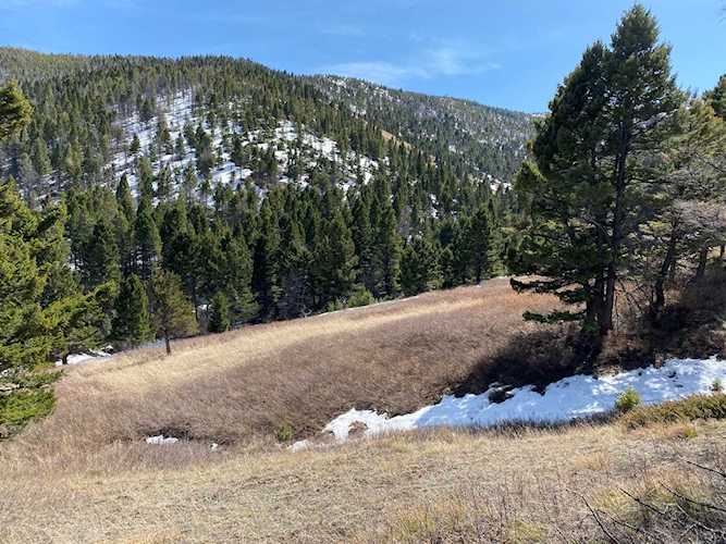 Lot 37 Elk Meadows Wolf Creek, MT 59648
