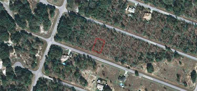 00 Malauka RADIAL Ocklawaha, FL 32179 | MLS OM618591 Photo 1