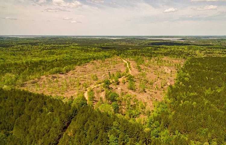 0 Cr 191 Water Valley, MS 38965