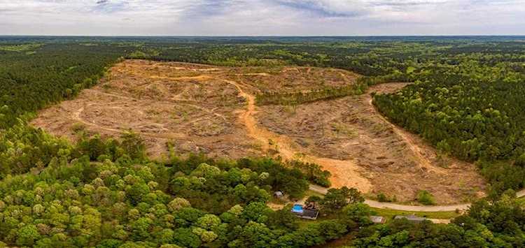 0 Cr 25 Water Valley, MS 38965