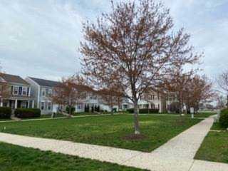 28 Harmony Ln Romeoville, IL 60446