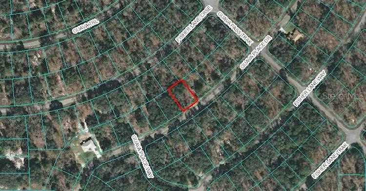 00 Guava Place Dr Ocklawaha, FL 32179 | MLS OM618727 Photo 1