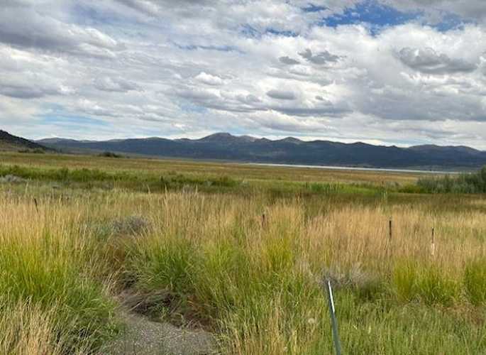 Lot 4 Highway 395 Bridgeport, CA 93517