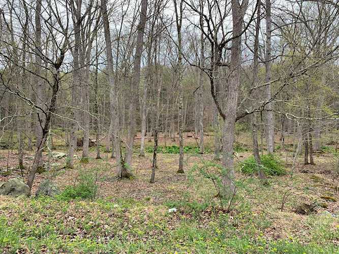 Lot 971 Canterbury Rd Bushkill, PA 18324