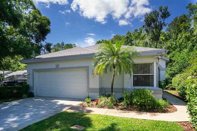 3540 Sylvan Edge Dr Palm Harbor, FL 34685