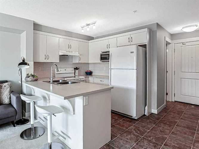 130 Auburn Meadows View SE #313 Calgary, AB T3M 2P3