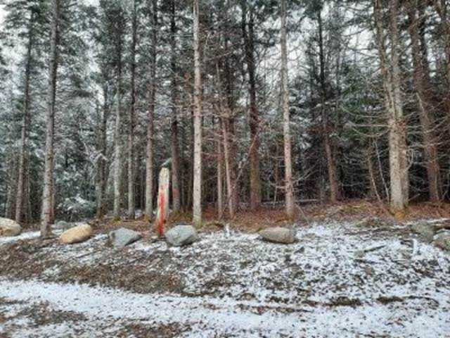 *** Jackson Rd Columbia, NH 03576