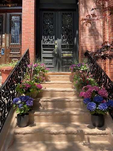 12 Millmont St. #2 Boston, MA 02119