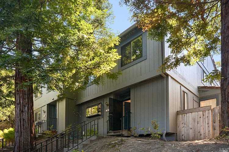 180 Escallonia Novato, CA 94945