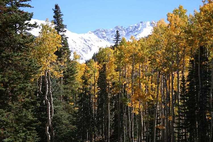 Lot 3 Cortina Dr #3 Mountain Village, COLORADO 81435