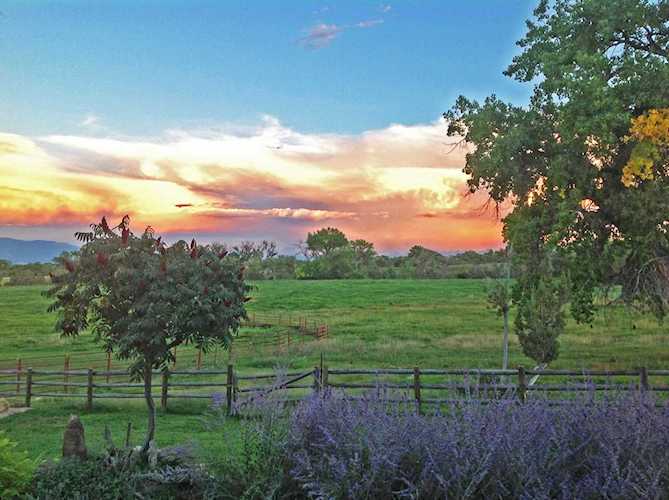 59346 Spring Creek Rd Montrose, COLORADO 81403