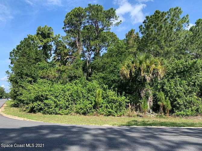 1134 SE Underhill Avenue Palm Bay, FL 32909