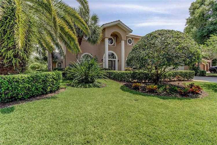 3902 Moreno Dr Palm Harbor, FL 34685