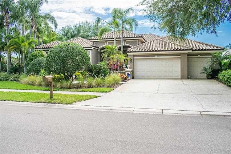 4038 Carlyle Lakes Blvd Palm Harbor, FL 34685