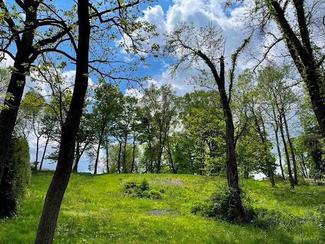 1000 Runnymede Road Oakwood, OH 45419