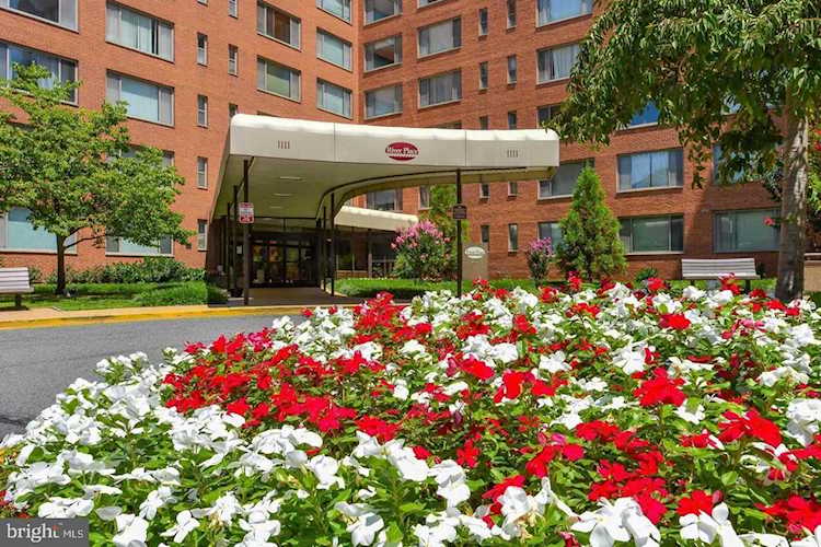 1111 Arlington Blvd #643 Arlington, VA 22209