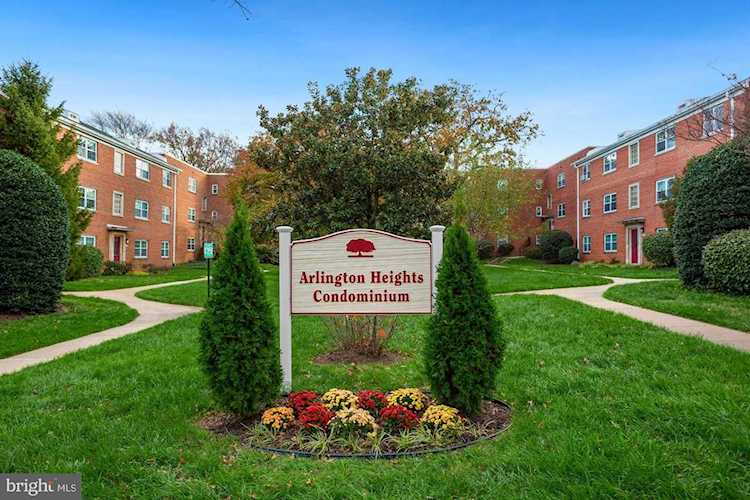 5318 8th Rd S #6 Arlington, VA 22204