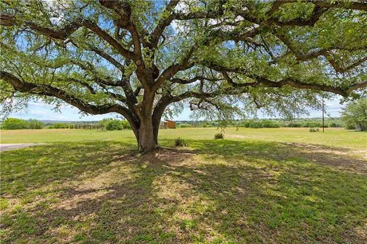 316 Paleface Point DR Spicewood, TX 78669