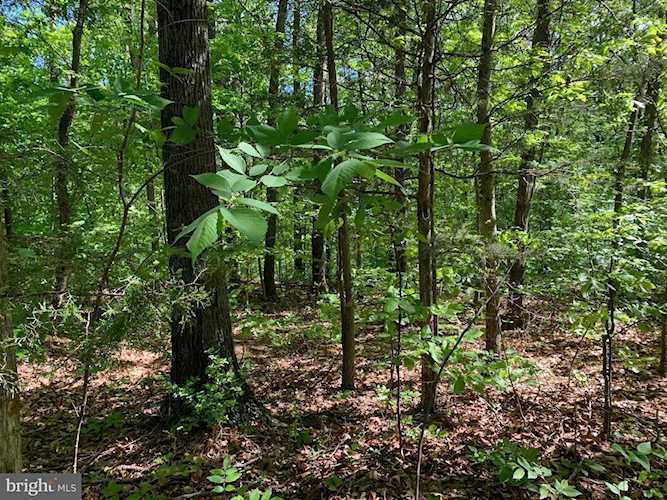 Platt Mountain Lane Inwood, WV 25428