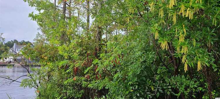 405 River Rd. Myrtle Beach, SC 29588