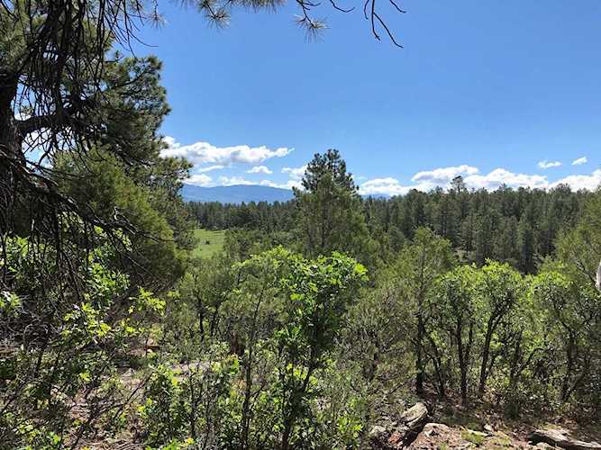 188 White Tail Ln #139 Ridgway, COLORADO 81432