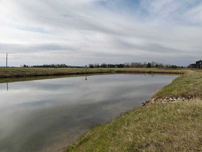 39 Windhorse Green Rural Rocky View County, AB T3Z 0B4