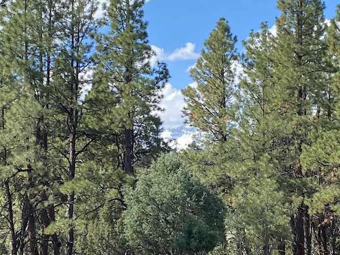 TBD Antler Lot 251 Place #251 Ridgway, COLORADO 81432