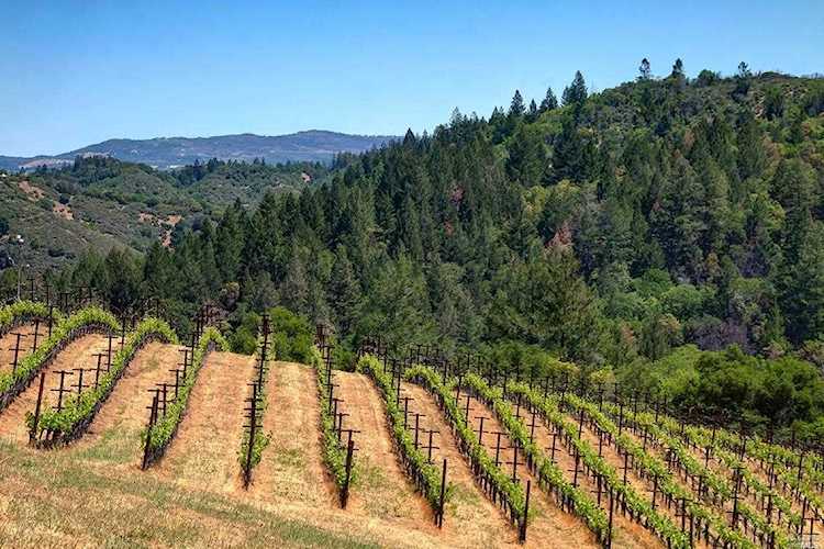 4036 Mount Veeder Road Napa, CA 94558