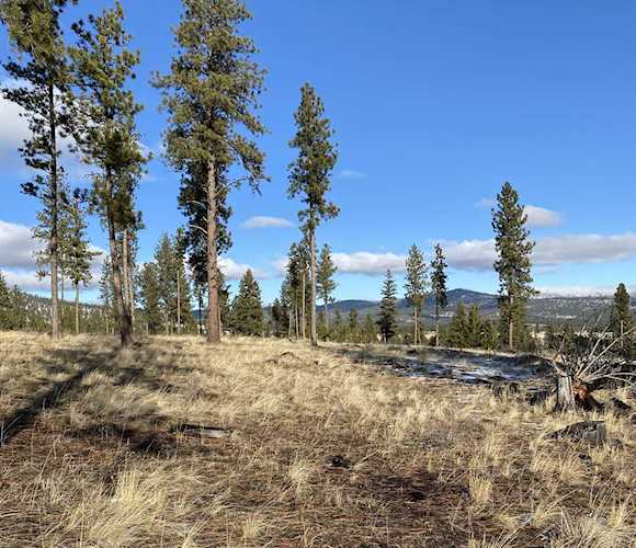 Nhn Moore Ranch Rd Marion, MT 59925