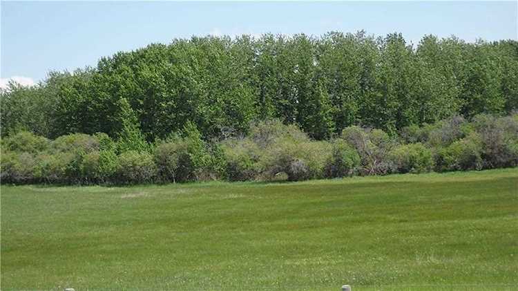 80 Street & 226 Ave Rural Foothills County, AB T0L 0X0
