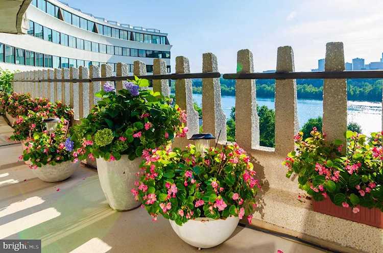 700 New Hampshire Ave #1118 Washington, DC 20037