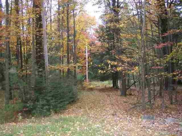 00 Rt. 42 Forestburgh, NY 12777