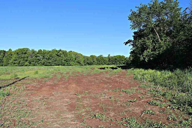 Section Line Rd Kaukauna, WI 54130