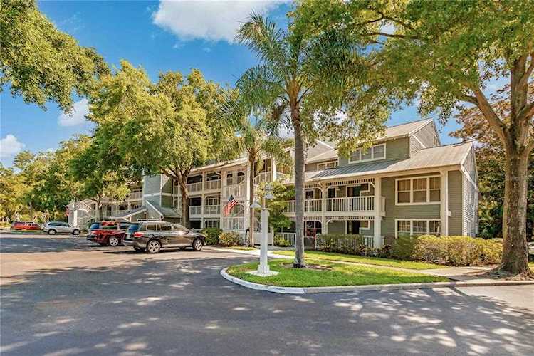 2599 Dolly Bay Dr #206 Palm Harbor, FL 34684