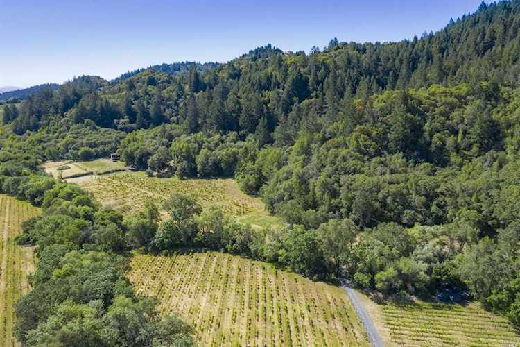4106 Wine Creek Road Healdsburg, CA 95448