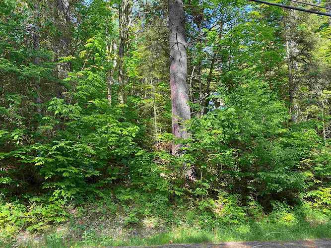 8 Cove Dr Grantham, NH 03753